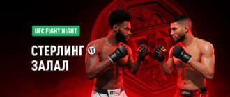 UFC Fight Night 274